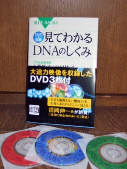 03.19.02.jpg