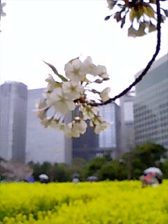 060402_1629~003.jpg