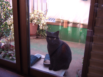 09.01.14_01.jpeg
