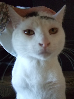 09.12.01_02.jpeg