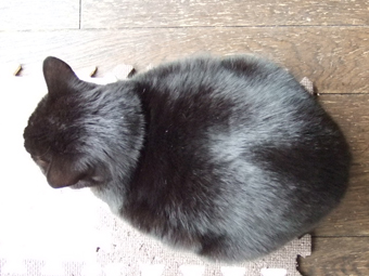 09.12.09_01.jpeg