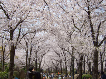 2011.04.10_01.jpg