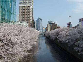 2011.04.10_02.jpg