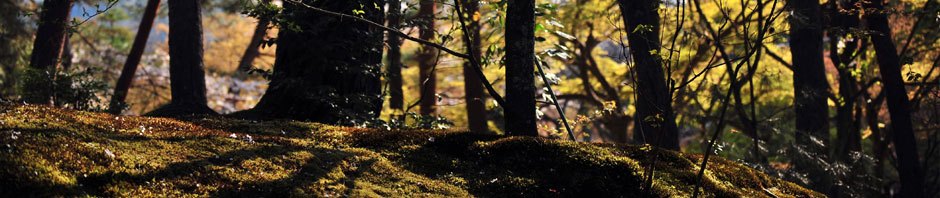 白石幸之助の生存証明